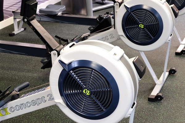 Workout Rowing Training Sport Gym Fitness