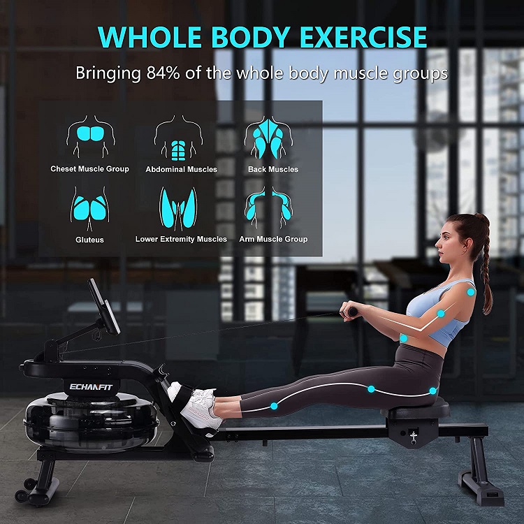 ECHANFIT Water Rowing Machine Rower 400 LB Weight Capacity whole body exercise