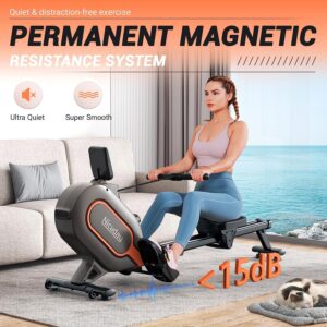 Niceday Rowing Machine Review